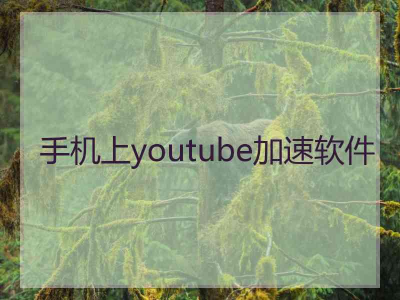 手机上youtube加速软件