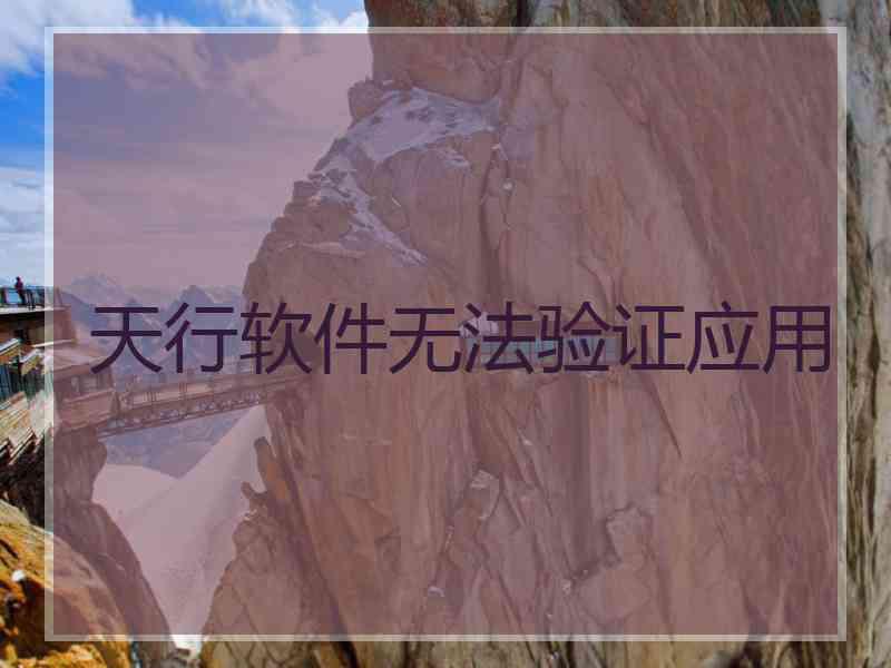 天行软件无法验证应用
