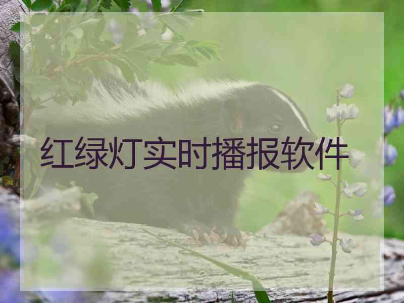 红绿灯实时播报软件