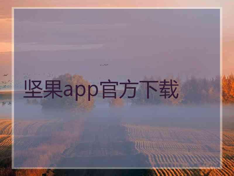 坚果app官方下载