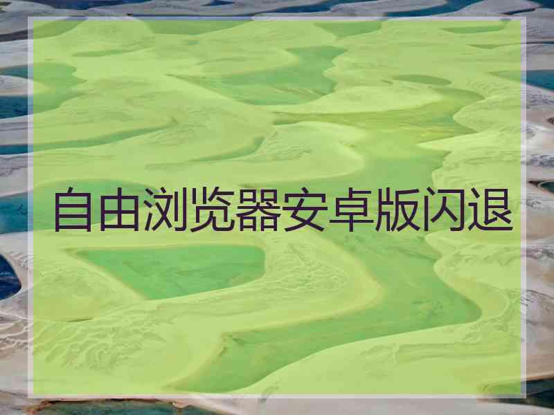 自由浏览器安卓版闪退