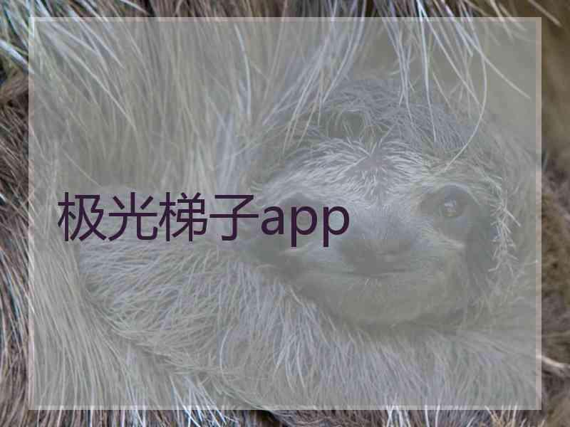 极光梯子app
