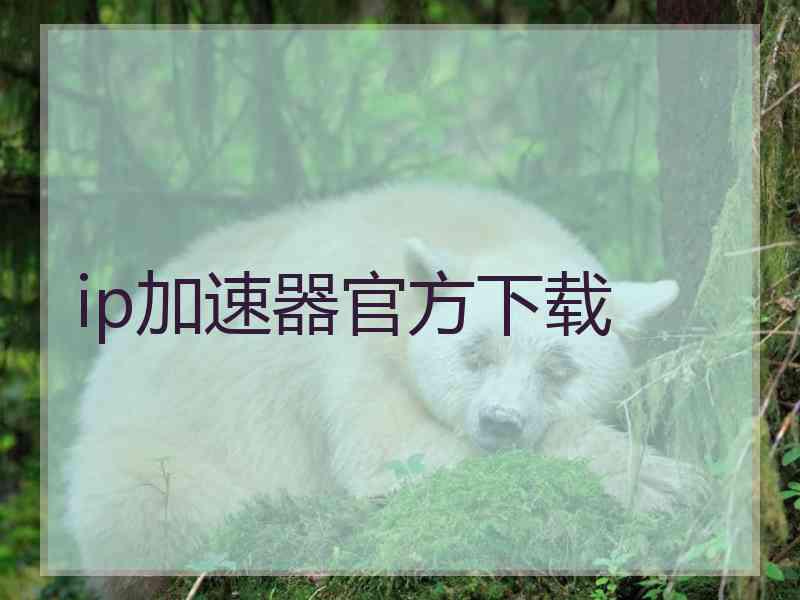 ip加速器官方下载