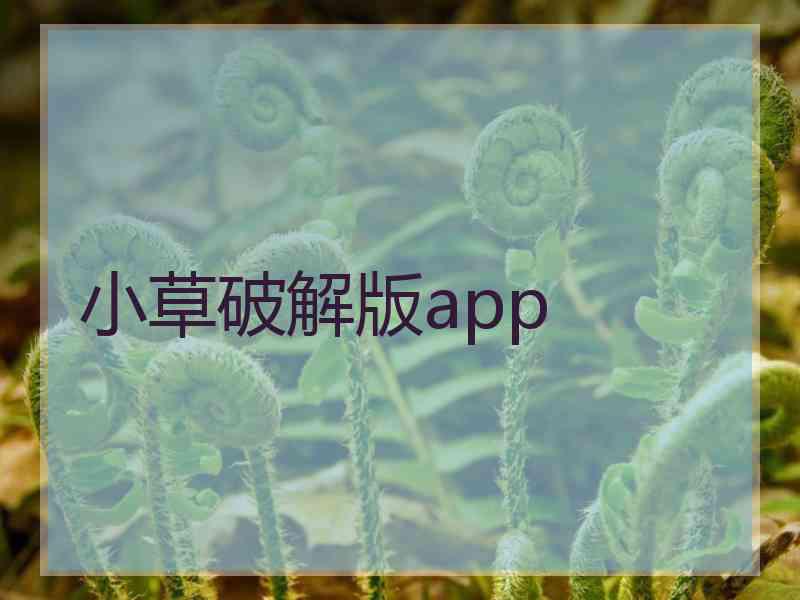 小草破解版app