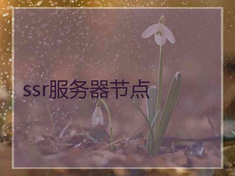 ssr服务器节点