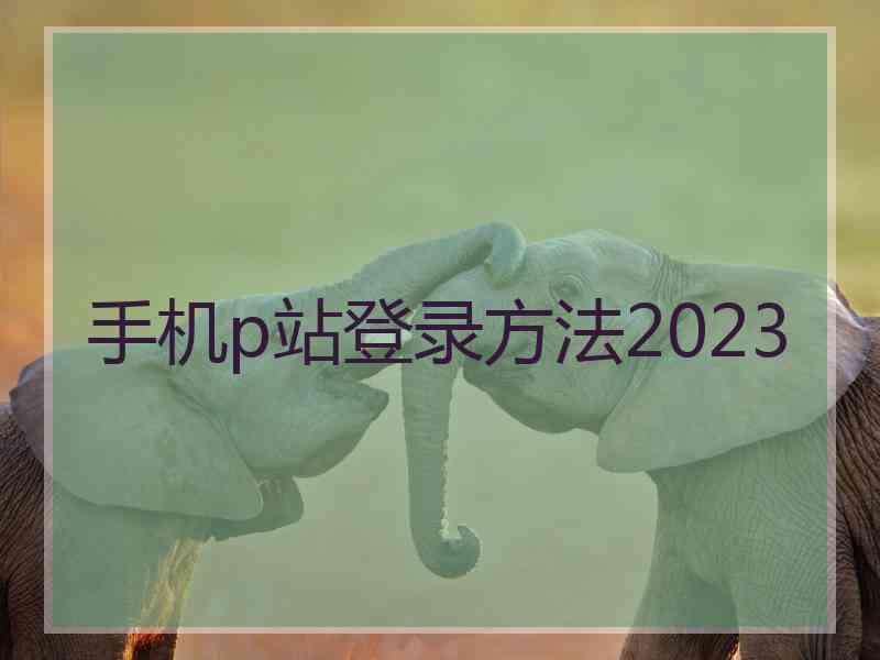 手机p站登录方法2023