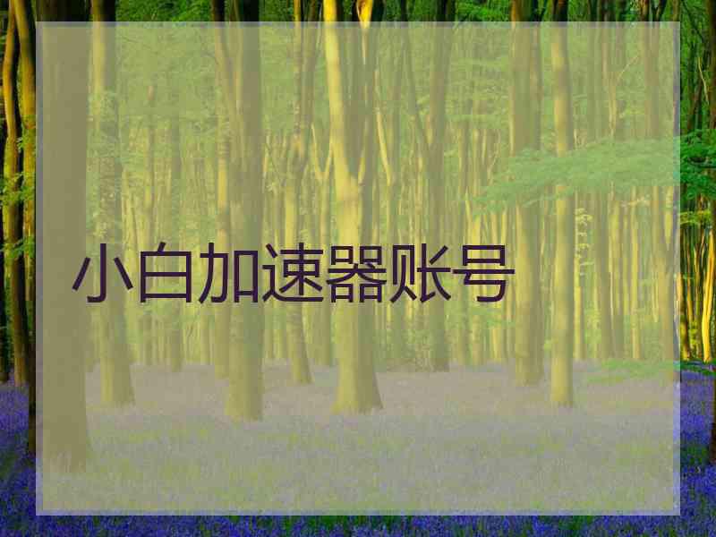 小白加速器账号