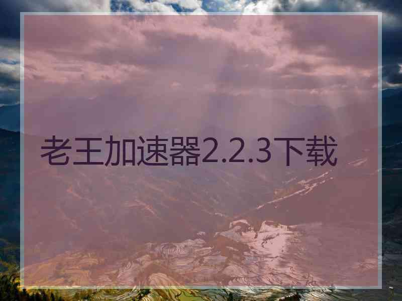 老王加速器2.2.3下载