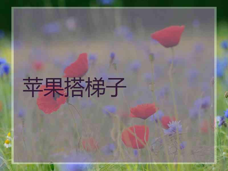 苹果搭梯子