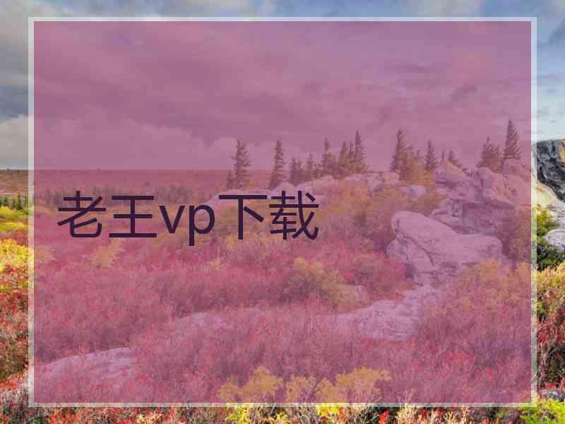 老王vp下载
