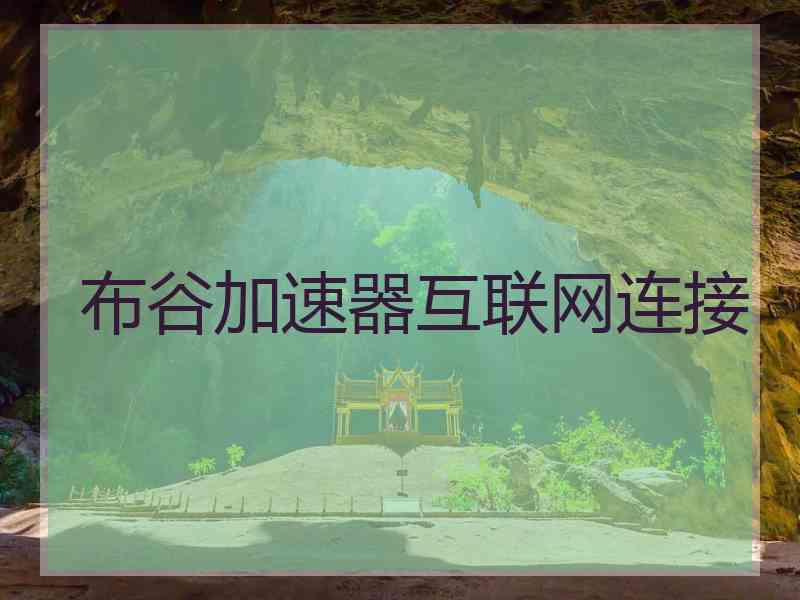 布谷加速器互联网连接