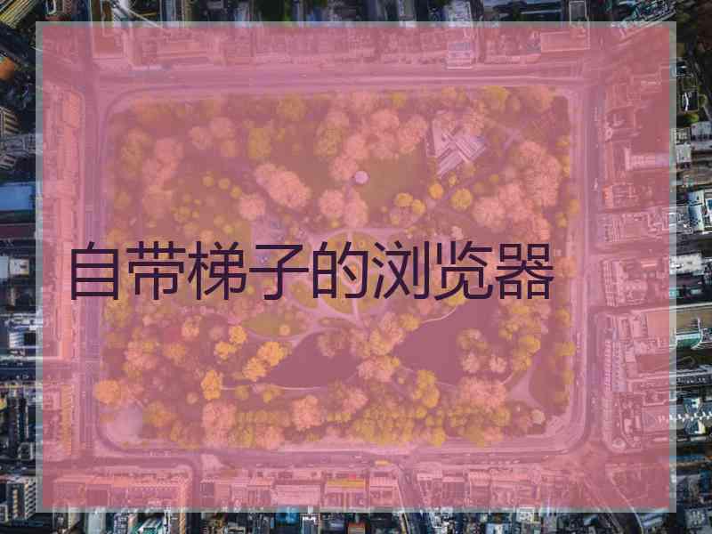 自带梯子的浏览器