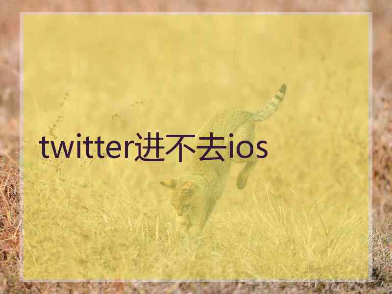 twitter进不去ios