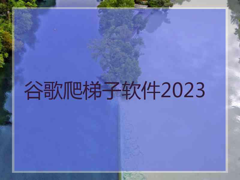 谷歌爬梯子软件2023