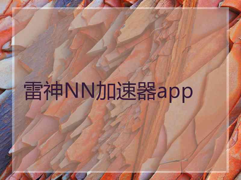 雷神NN加速器app