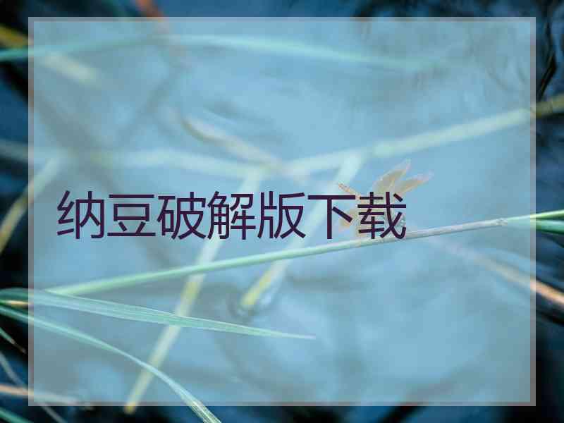 纳豆破解版下载