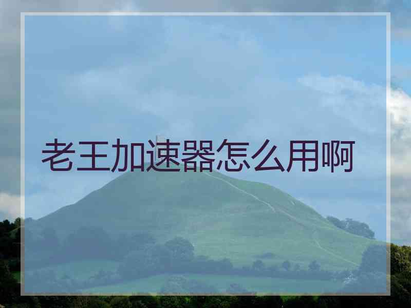 老王加速器怎么用啊