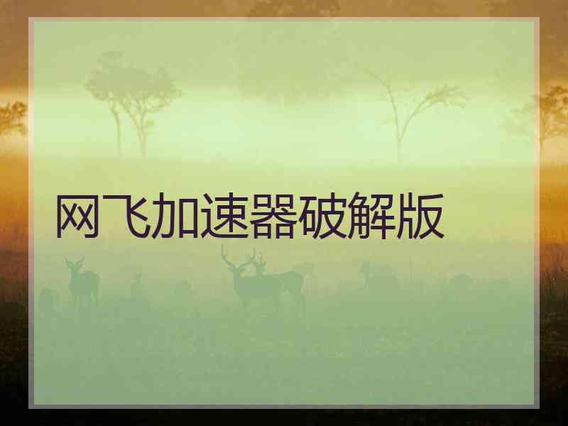 网飞加速器破解版
