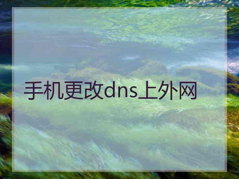 手机更改dns上外网