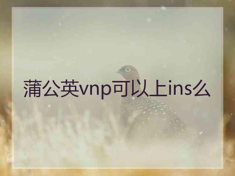 蒲公英vnp可以上ins么