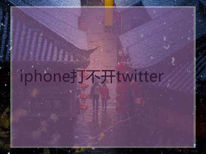 iphone打不开twitter