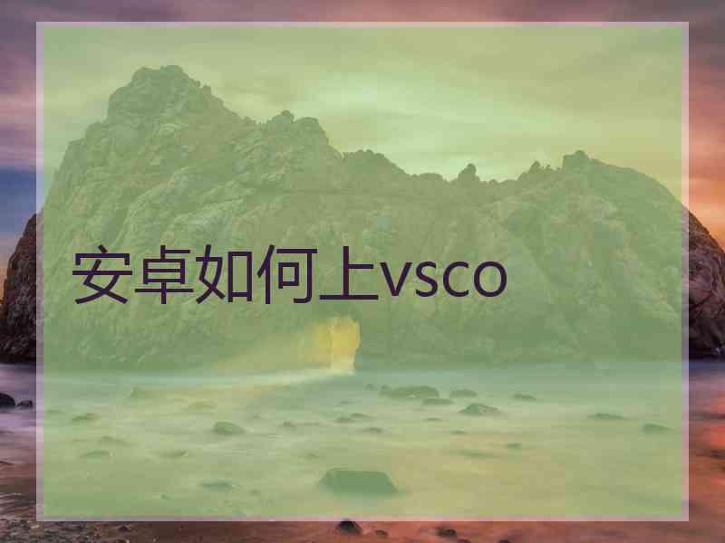 安卓如何上vsco