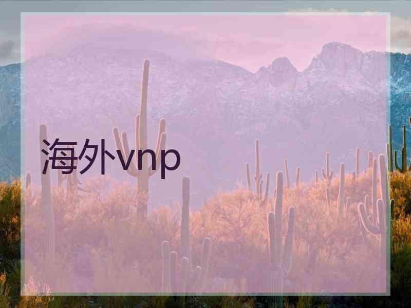 海外vnp