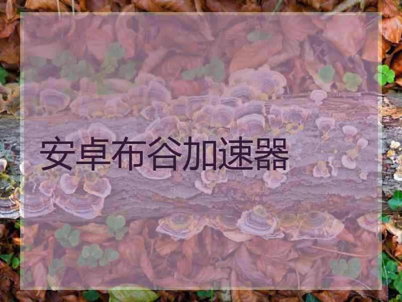 安卓布谷加速器
