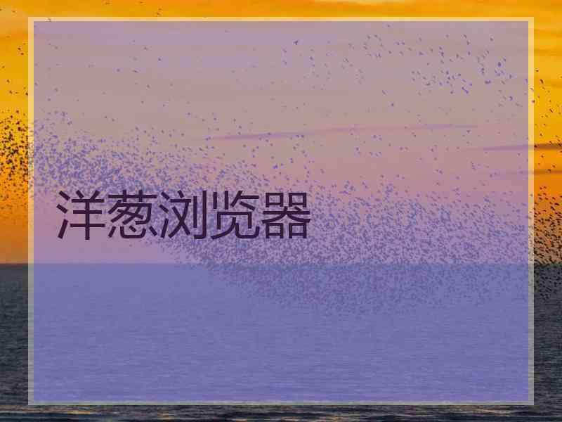 洋葱浏览器
