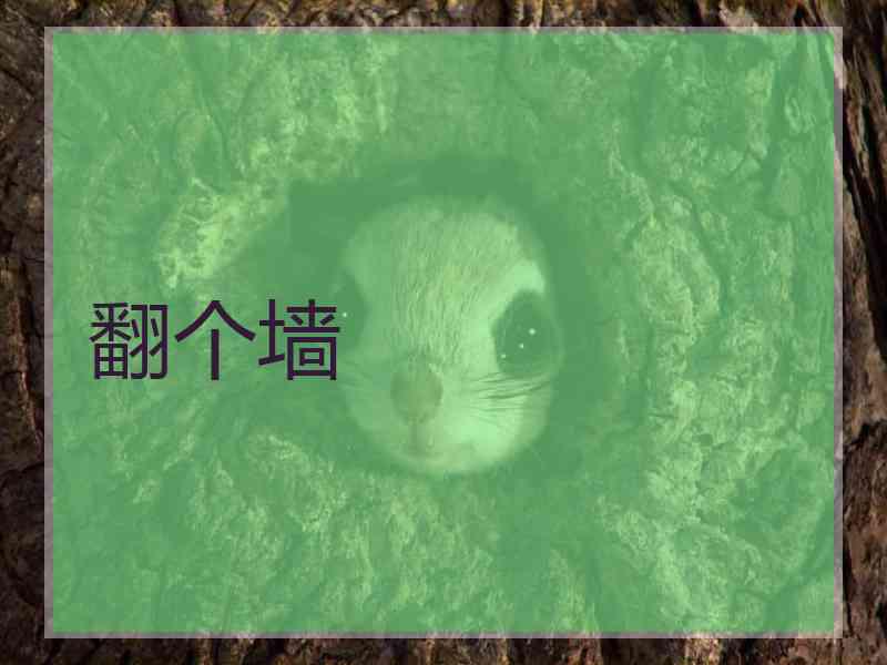 翻个墙