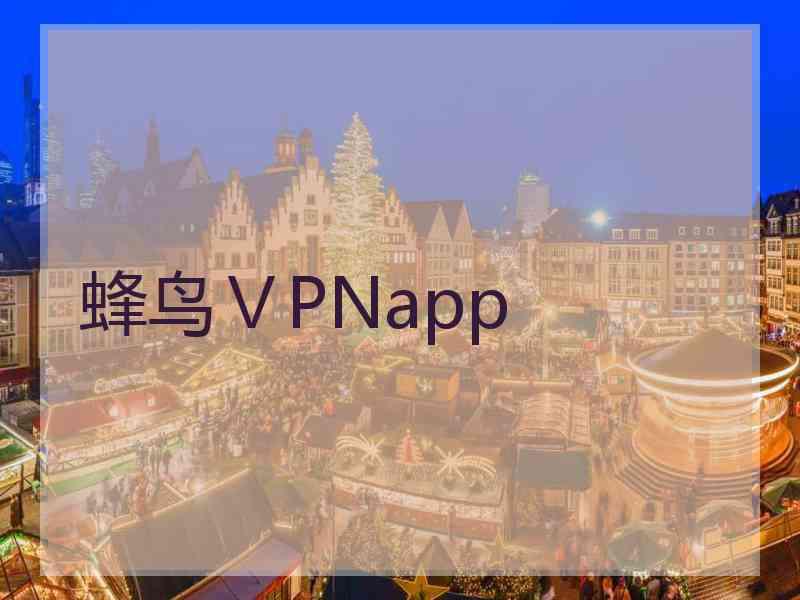 蜂鸟ⅤPNapp