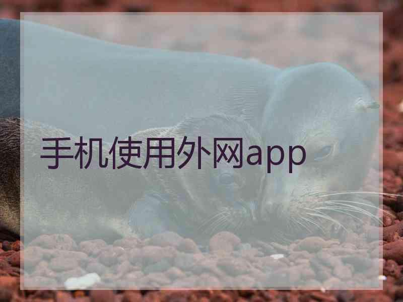 手机使用外网app