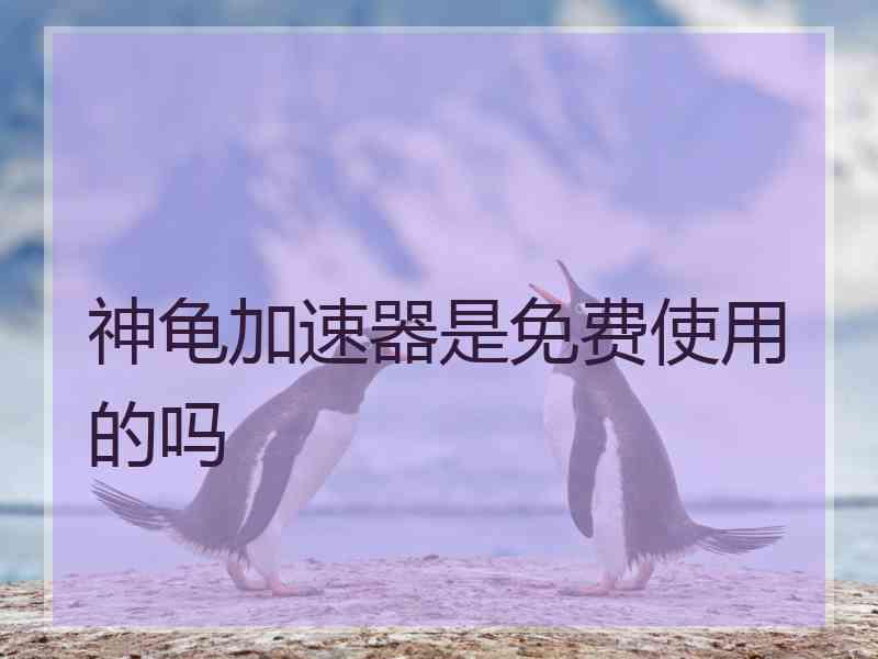 神龟加速器是免费使用的吗
