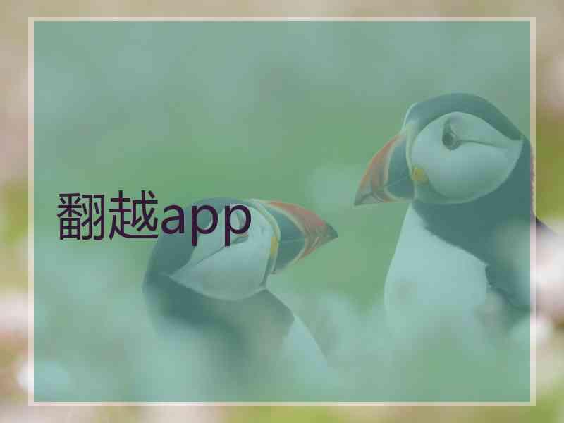 翻越app