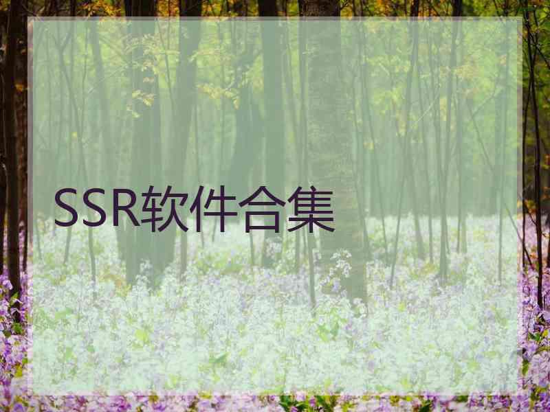 SSR软件合集