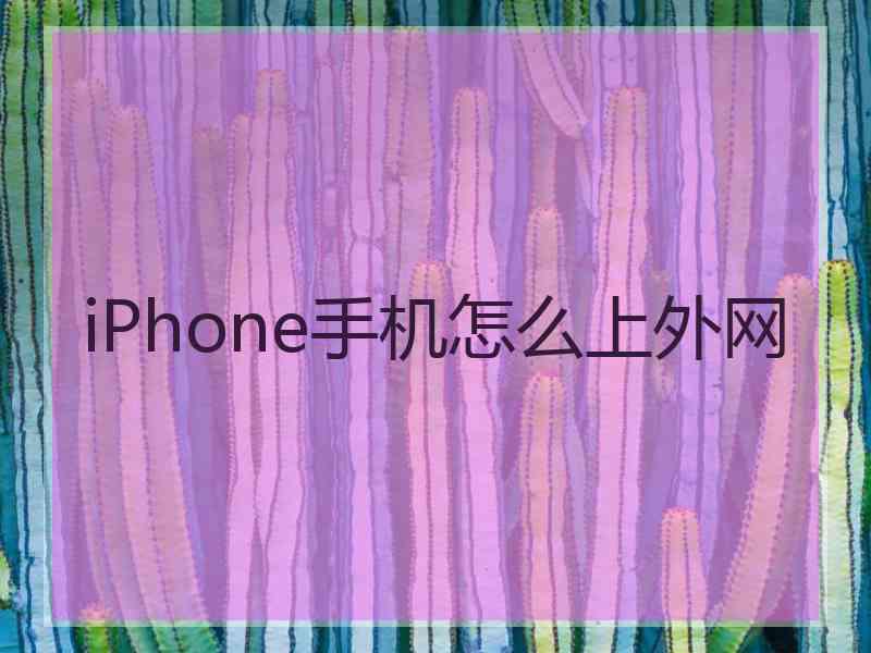 iPhone手机怎么上外网