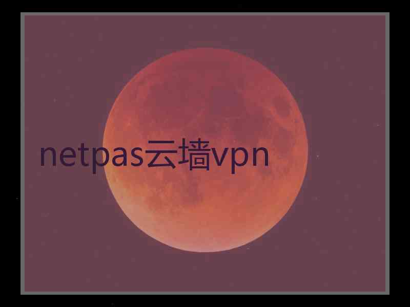 netpas云墙vpn