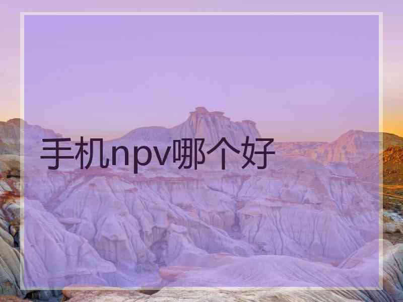 手机npv哪个好