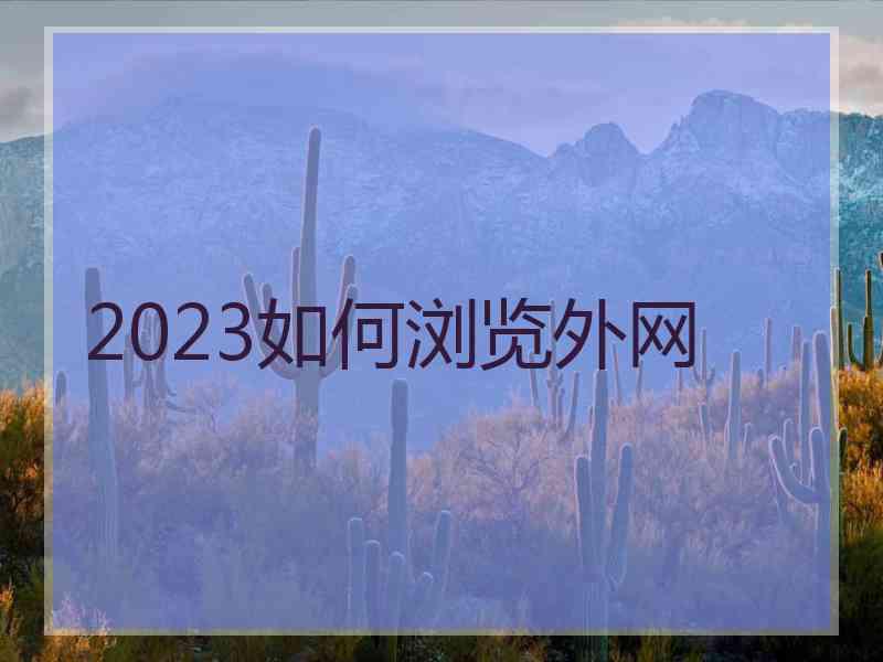 2023如何浏览外网