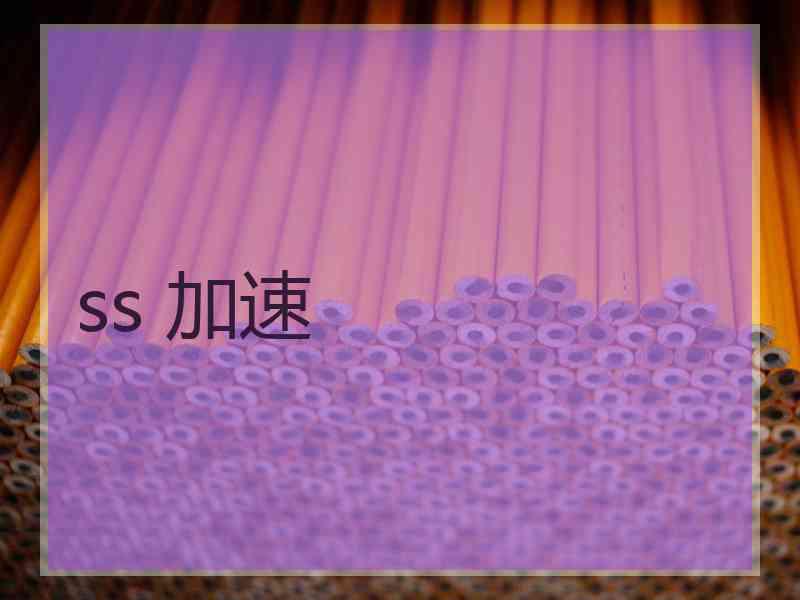 ss 加速