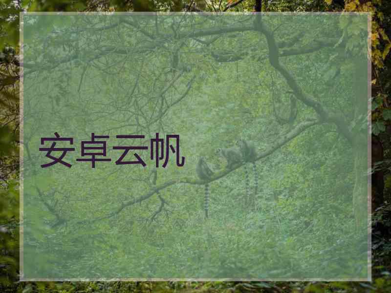 安卓云帆