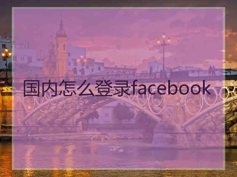 国内怎么登录facebook