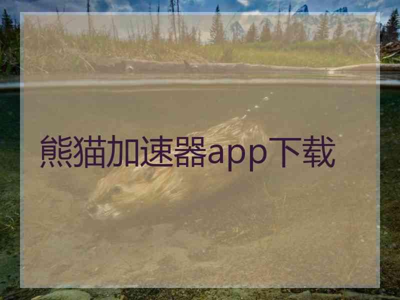 熊猫加速器app下载