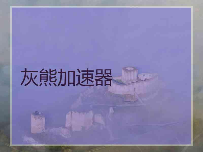 灰熊加速器