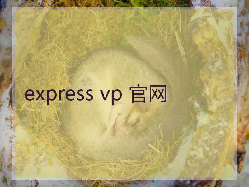 express vp 官网