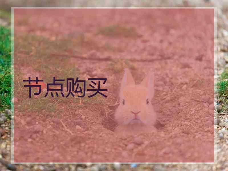 节点购买