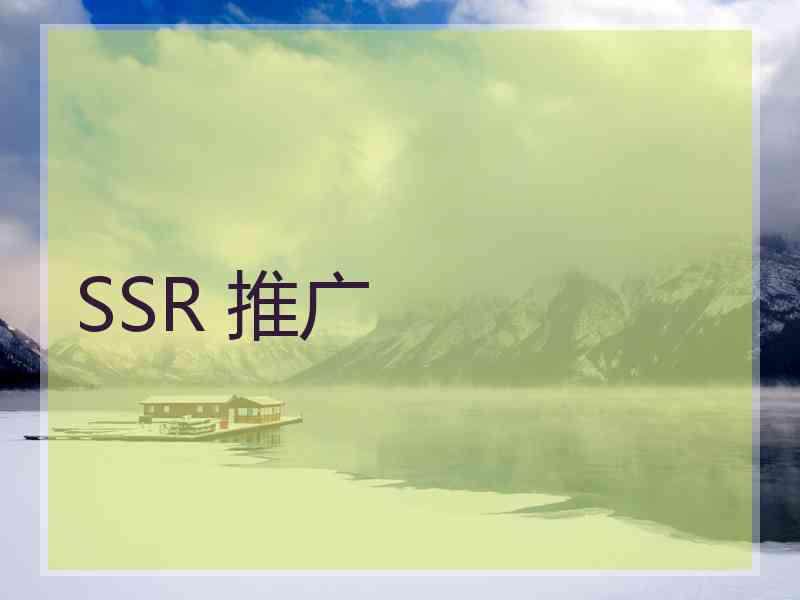 SSR 推广
