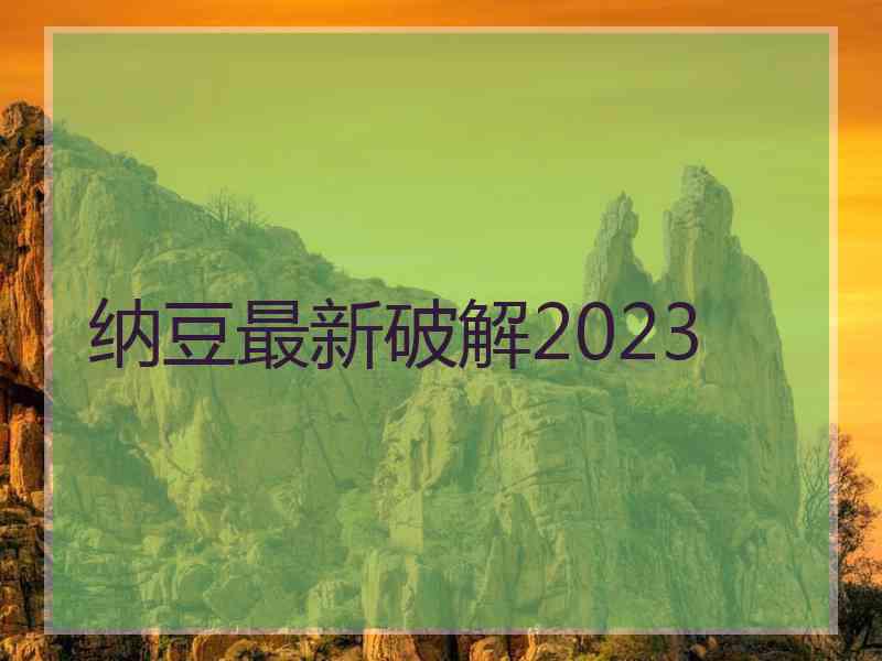 纳豆最新破解2023