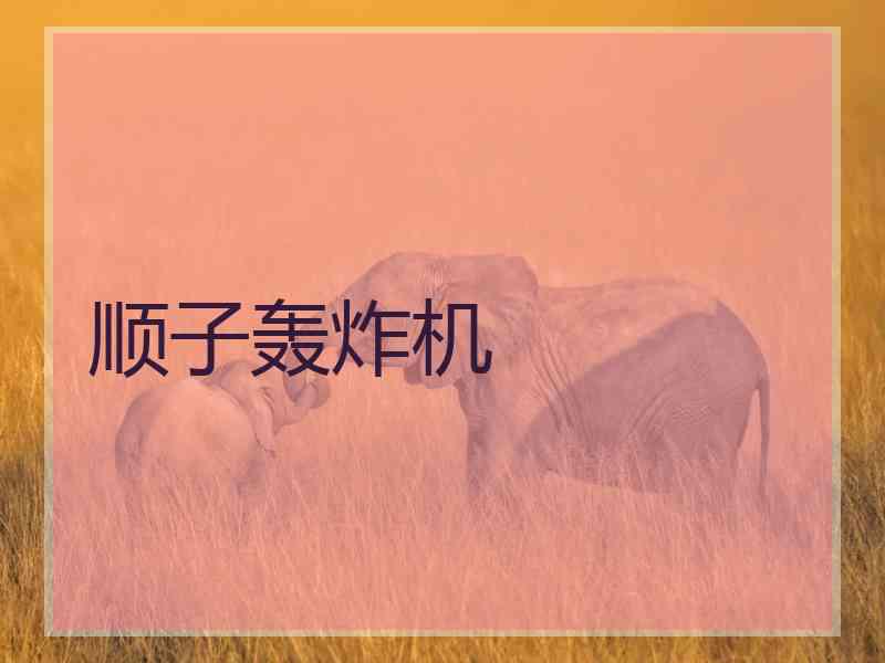 顺子轰炸机