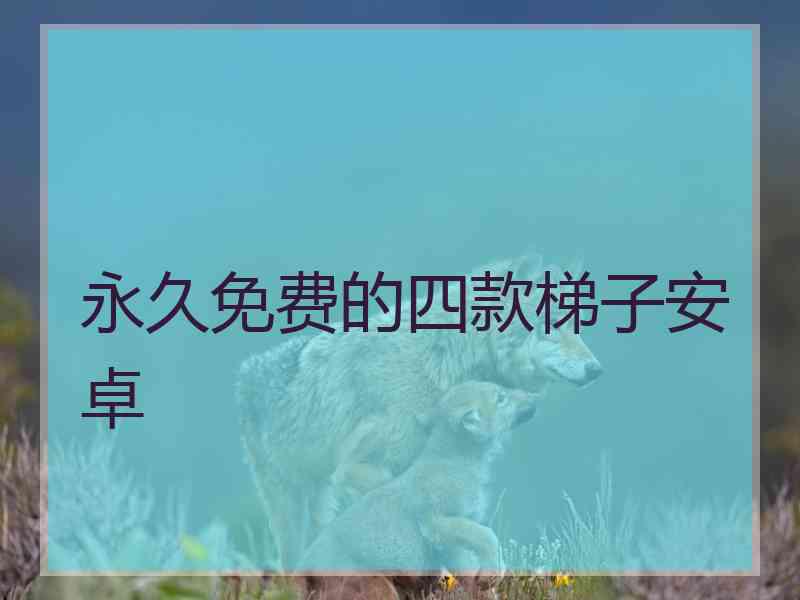永久免费的四款梯子安卓